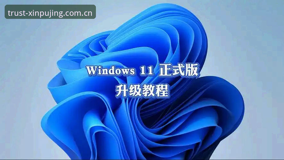 新浦京体育平台v2.9.5最新动态:全新下载教程与体验升级全解析